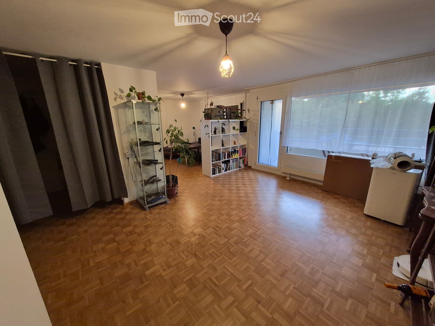 A spacious, well-lit room with wooden flooring, large windows, and a variety of furniture including shelves, a potted plant, and a bookshelf.