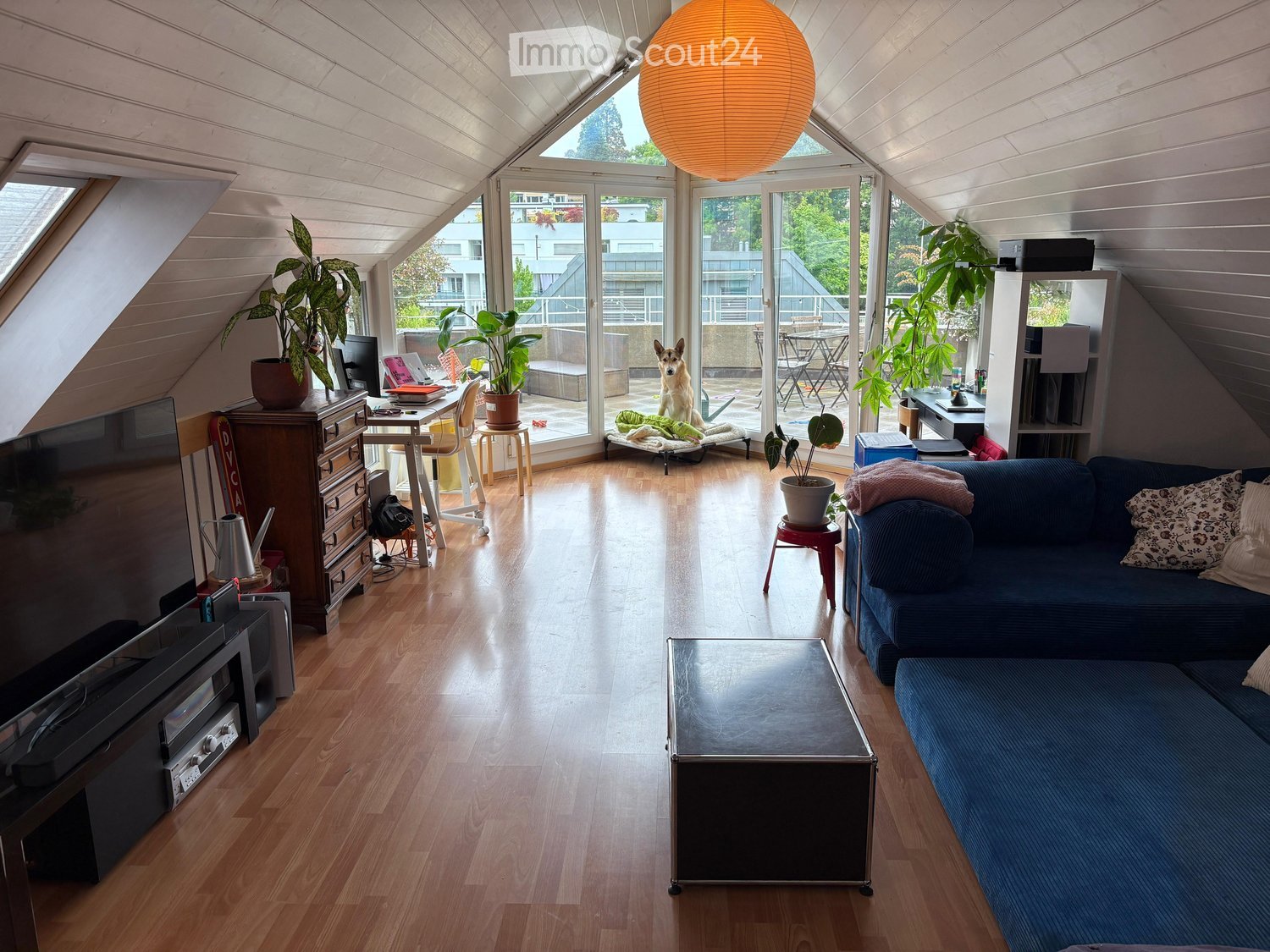 Bright living room with wooden floors, large windows, and a view of the balcony. Features a blue sofa, coffee table, chair, and a small table with a plant. A dog is visible on the balcony.