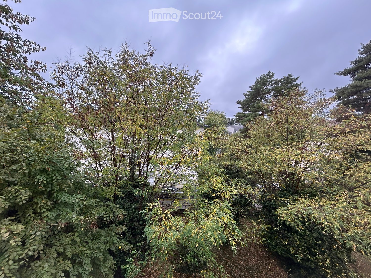 A lush garden area with dense green foliage and trees, partially obscuring a house in the background.