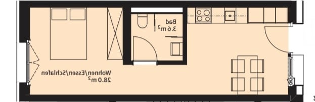 Layout of a compact apartment featuring a living room, bedroom, bathroom, and kitchen area.