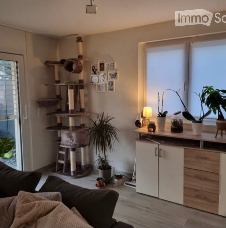 A cozy living room with a large window, a cat tree, a sofa, a cabinet with potted plants, and a table lamp.