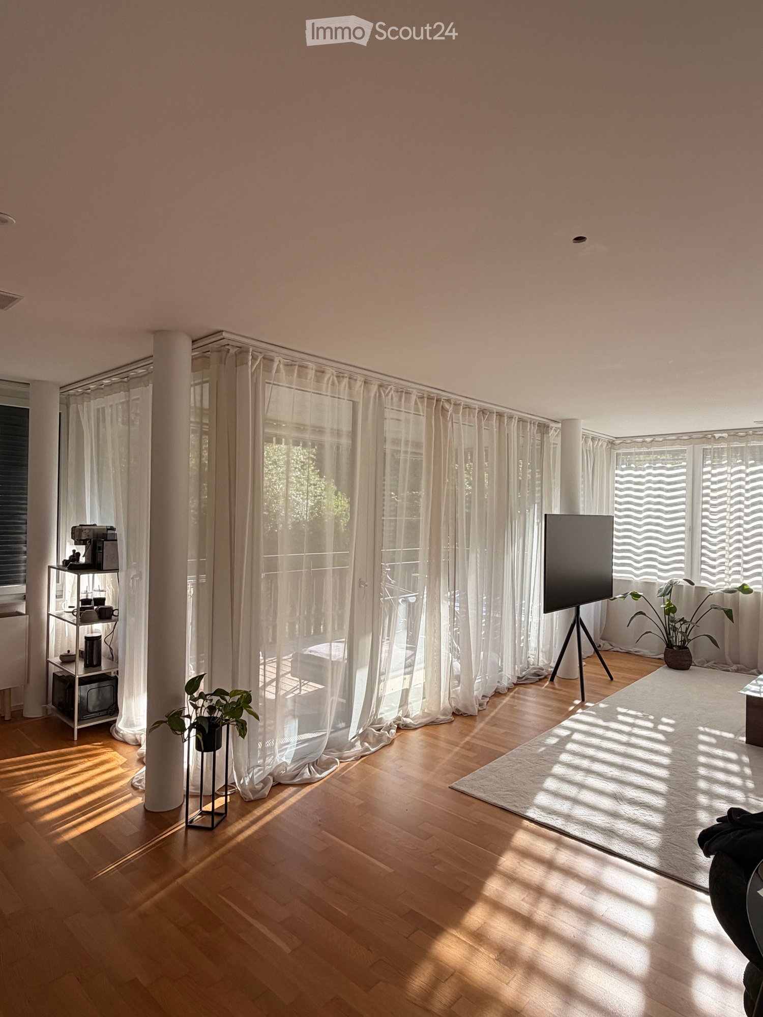 Bright living room with wooden flooring, large windows with white curtains, television on a stand, coffee machine on a small table, and potted plants.