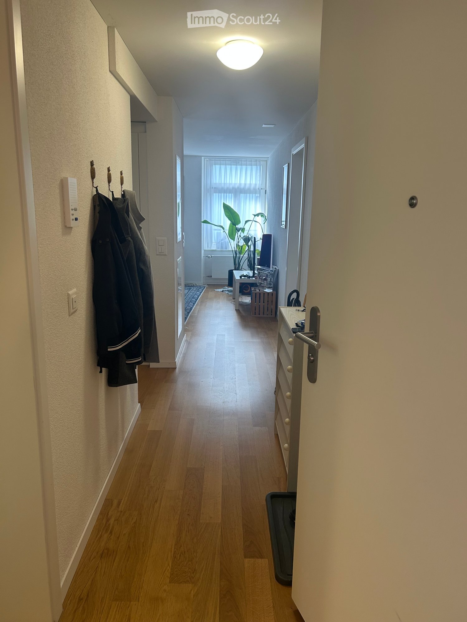 A well-lit hallway with wooden flooring, light-colored walls, and a ceiling light fixture. A coat rack with jackets is visible on the left, and a small table with a plant and other items is seen at the end of the hallway.