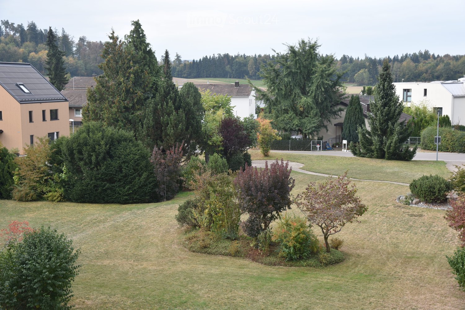 Well-maintained garden with various trees, shrubs, and a curved pathway, surrounded by residential buildings and a road.
