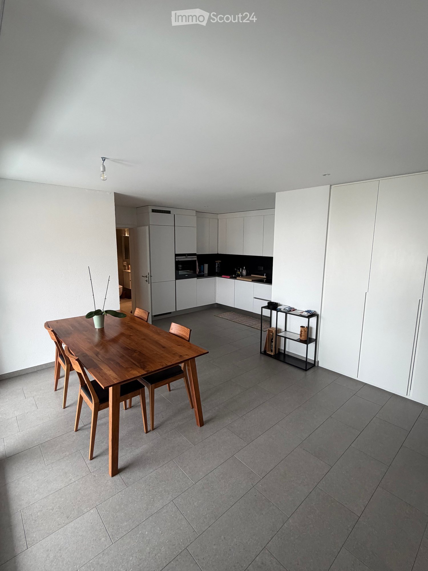 Modern dining area with a wooden dining table, four chairs, a small potted plant, and a black shelf with decorative items. The space is connected to a white kitchen with cabinets and appliances.