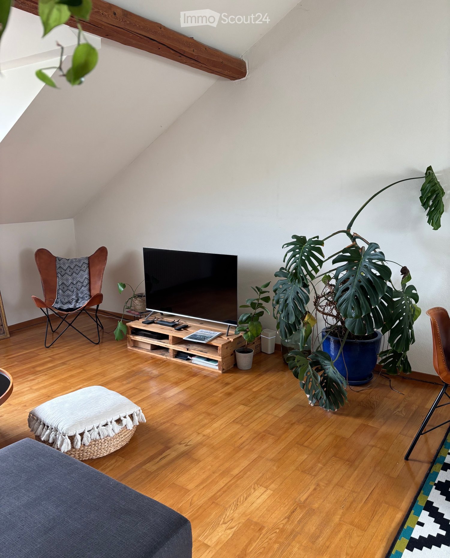 Modern living room with wooden flooring, a large television on a wooden stand, a comfortable sofa, a round ottoman, a chair, and several potted plants.