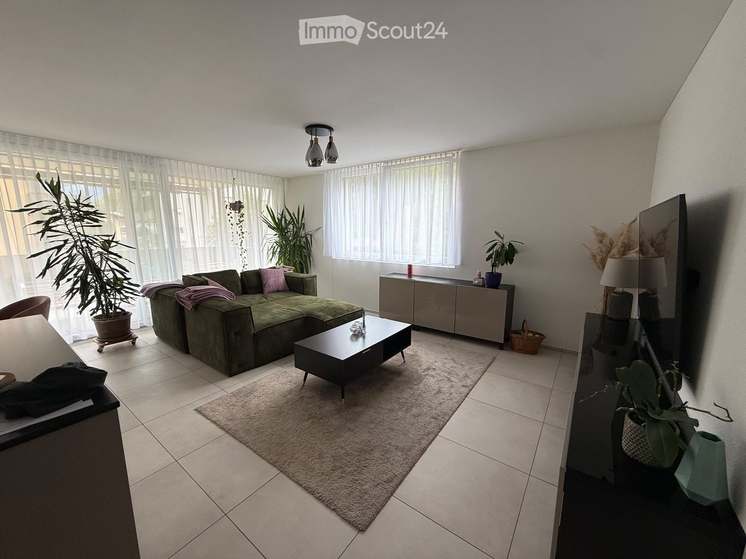Modern living room with a green sectional sofa, coffee table, side table, and large windows with sheer curtains. Includes a potted plant, a lamp, and a television on a stand.