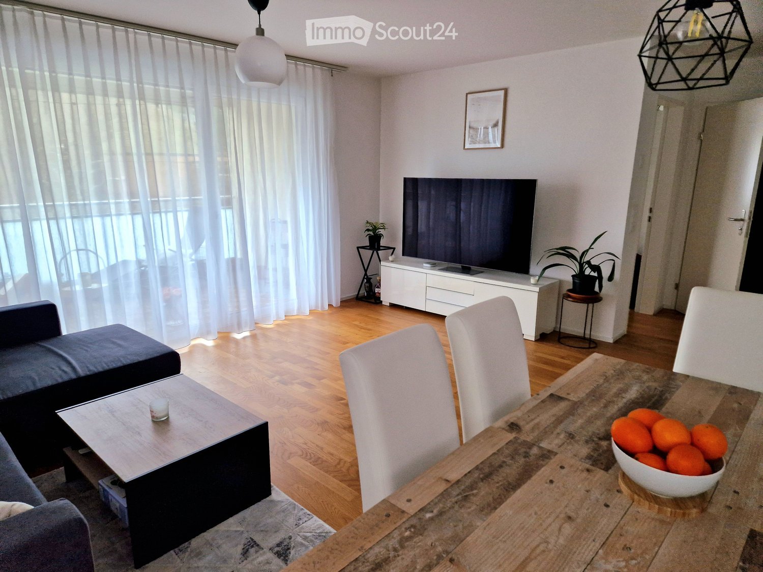 Modern living and dining area with wooden flooring, white walls, large windows with white curtains, a grey sofa, a wooden coffee table, a wooden dining table with chairs, a television on a white stand, and decorative plants.