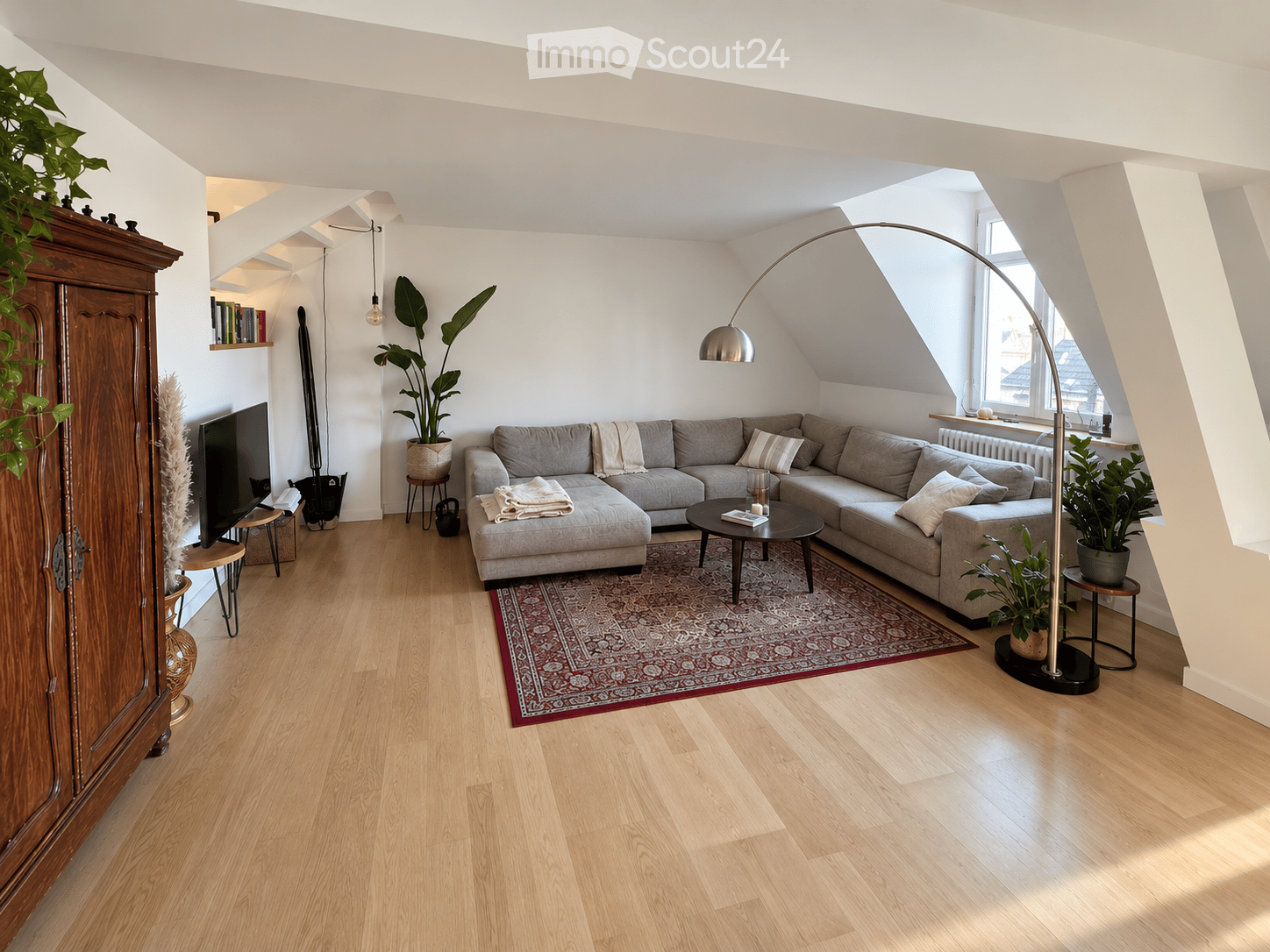 Modern living room with light wooden flooring, a grey sectional sofa, a coffee table, a floor lamp, a television, and decorative plants.