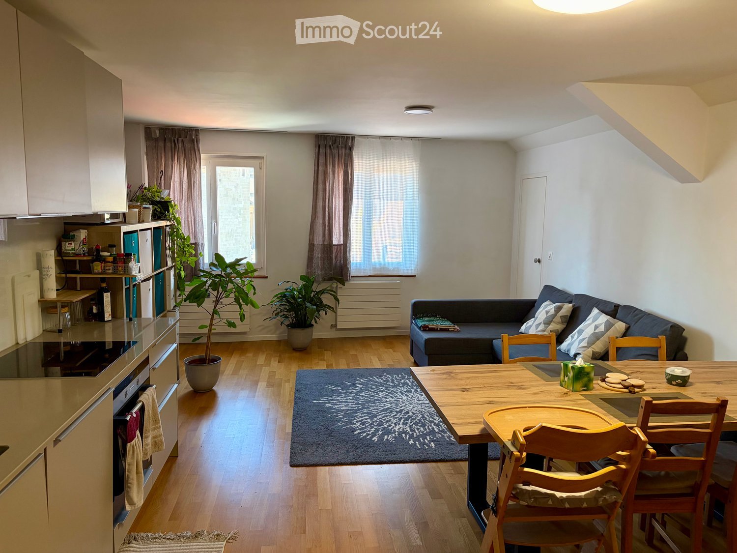 A modern, open-plan living and dining area with a sofa, dining table, chairs, kitchen cabinets, and plants.