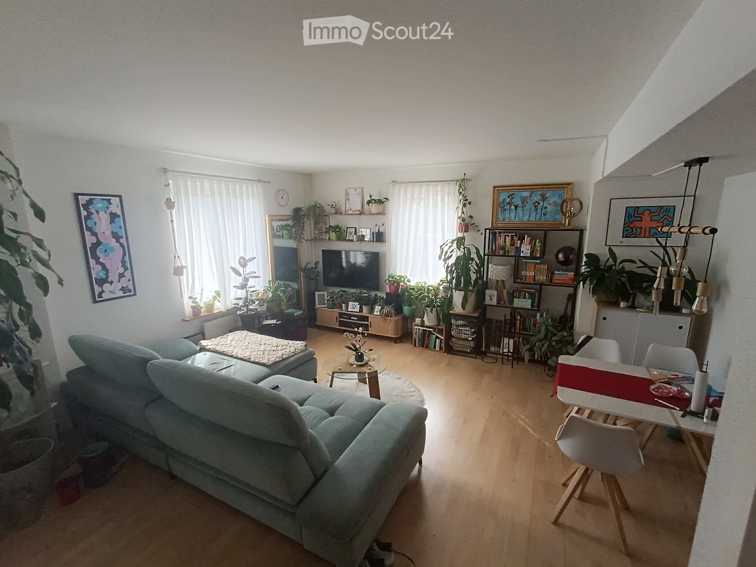 A modern living room with a grey sectional sofa, coffee table, dining table with chairs, shelves with books and plants, and a television. The room features large windows with white curtains and several potted plants.