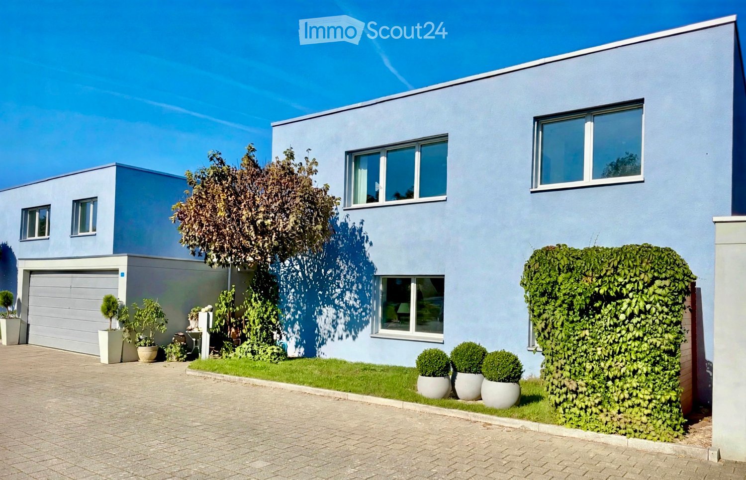 Modern two-story house with light blue exterior, large windows, garage, and well-maintained garden with potted plants and shrubs.