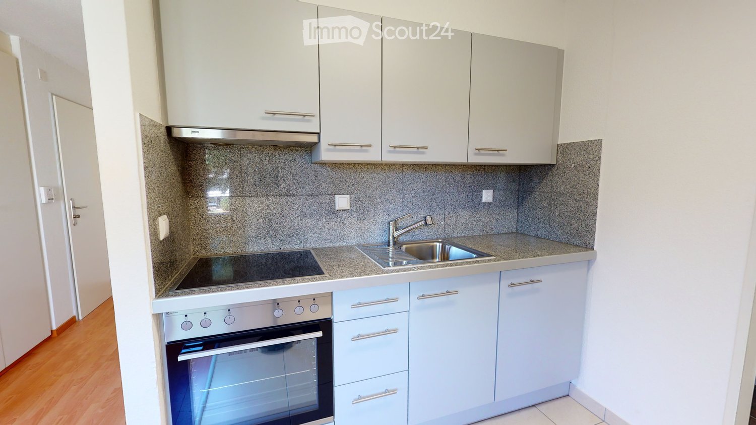 Modern kitchen with light grey cabinets, stainless steel oven, induction cooktop, and a sink with a faucet.