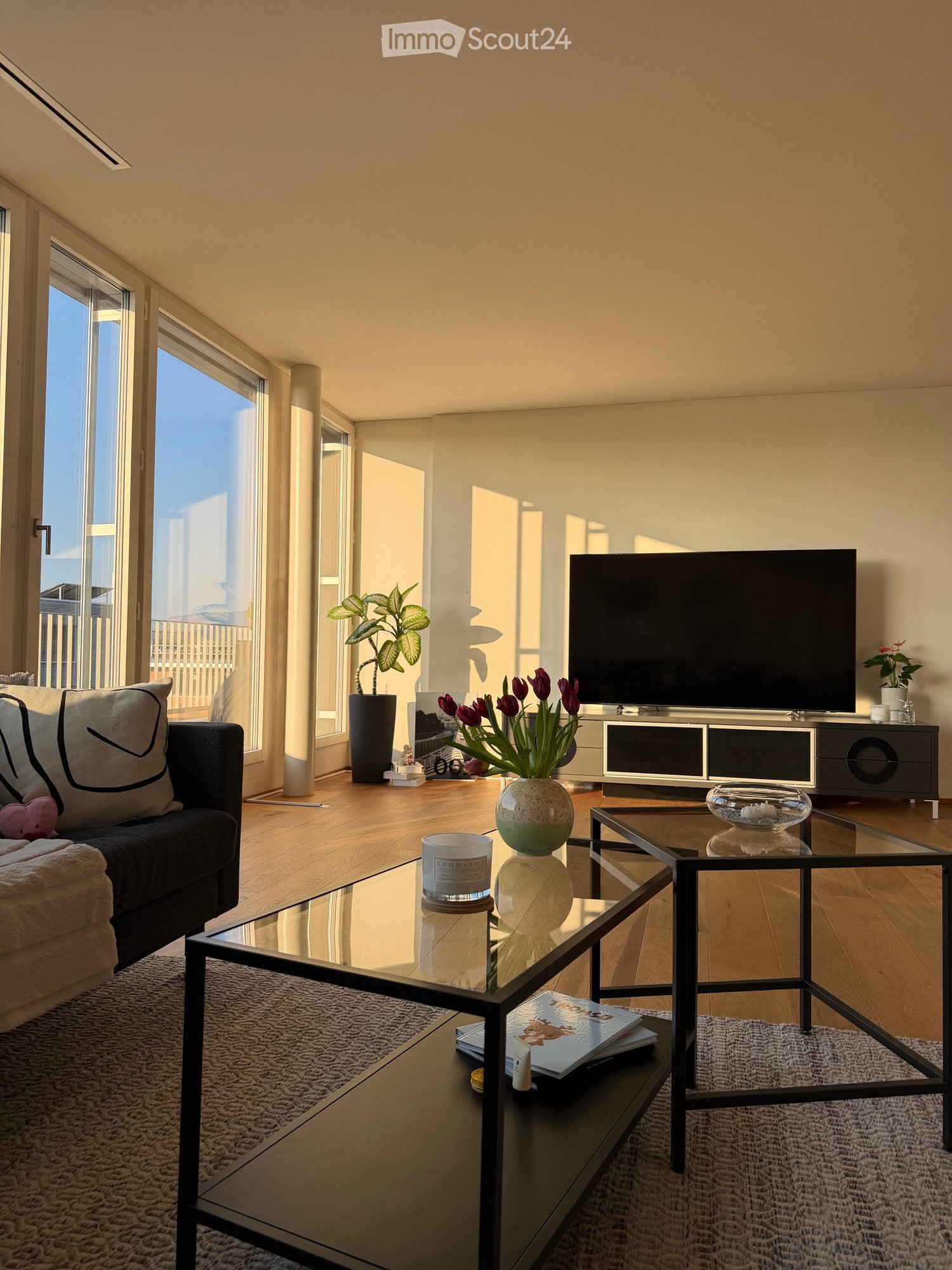 Modern living room with large windows offering a view, featuring a dark grey sofa with cushions, a glass coffee table, a flat-screen TV on a black stand, and decorative items including a flower vase with tulips and a potted plant.