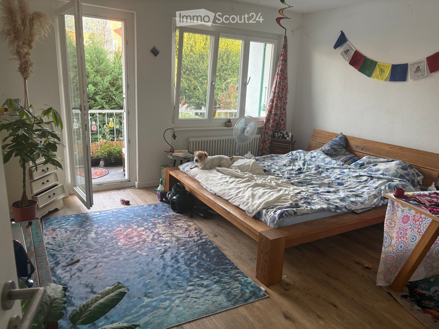 Cozy bedroom with a wooden bed, a small dog resting on it, a fan, a table with a lamp, a potted plant, and a colorful rug on the floor.