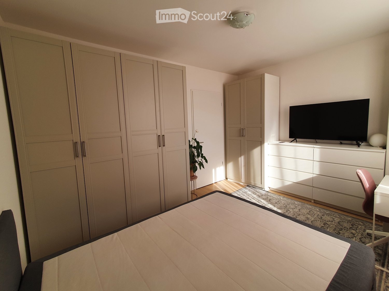 Modern bedroom with a large bed, white wardrobe, TV on a dresser, and a small plant near the door.