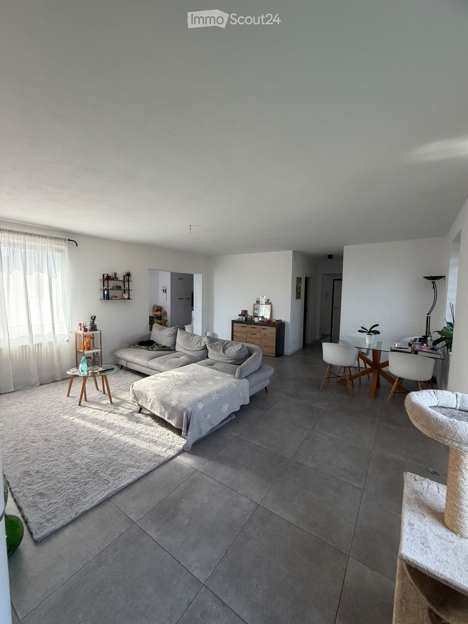 Bright living room with grey sectional sofa, ottoman, coffee table, dining table with chairs, and a cat tree. Natural light streams in from large windows with white curtains.