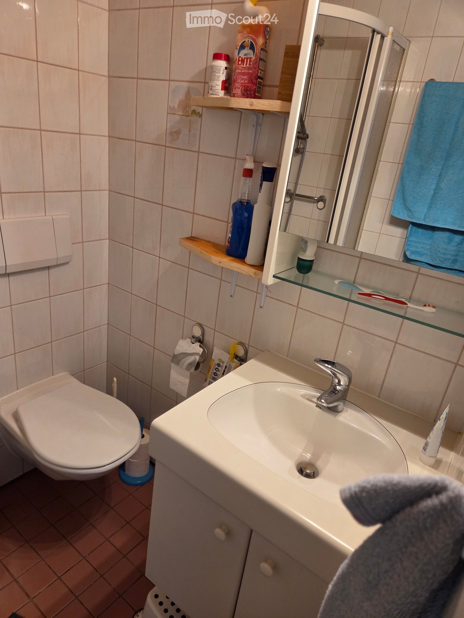 Bathroom with a white sink, chrome faucet, toilet, mirror, and various cleaning supplies on shelves.