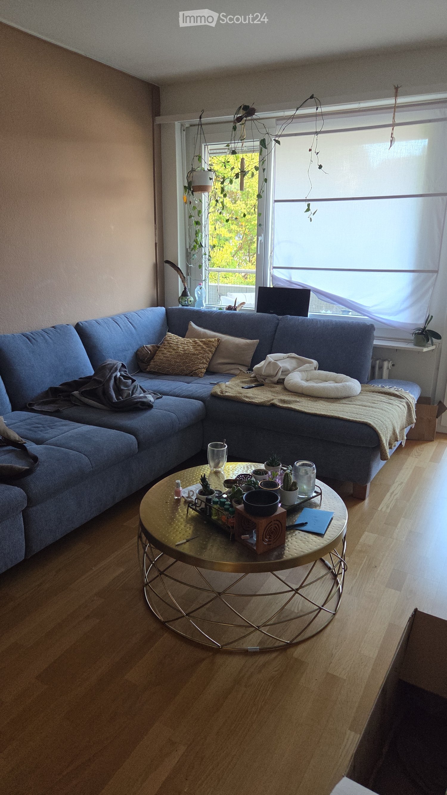 A modern living room with a blue sectional sofa, a round gold coffee table, and a large window with sheer curtains. The room features wooden flooring and several decorative items on the coffee table.