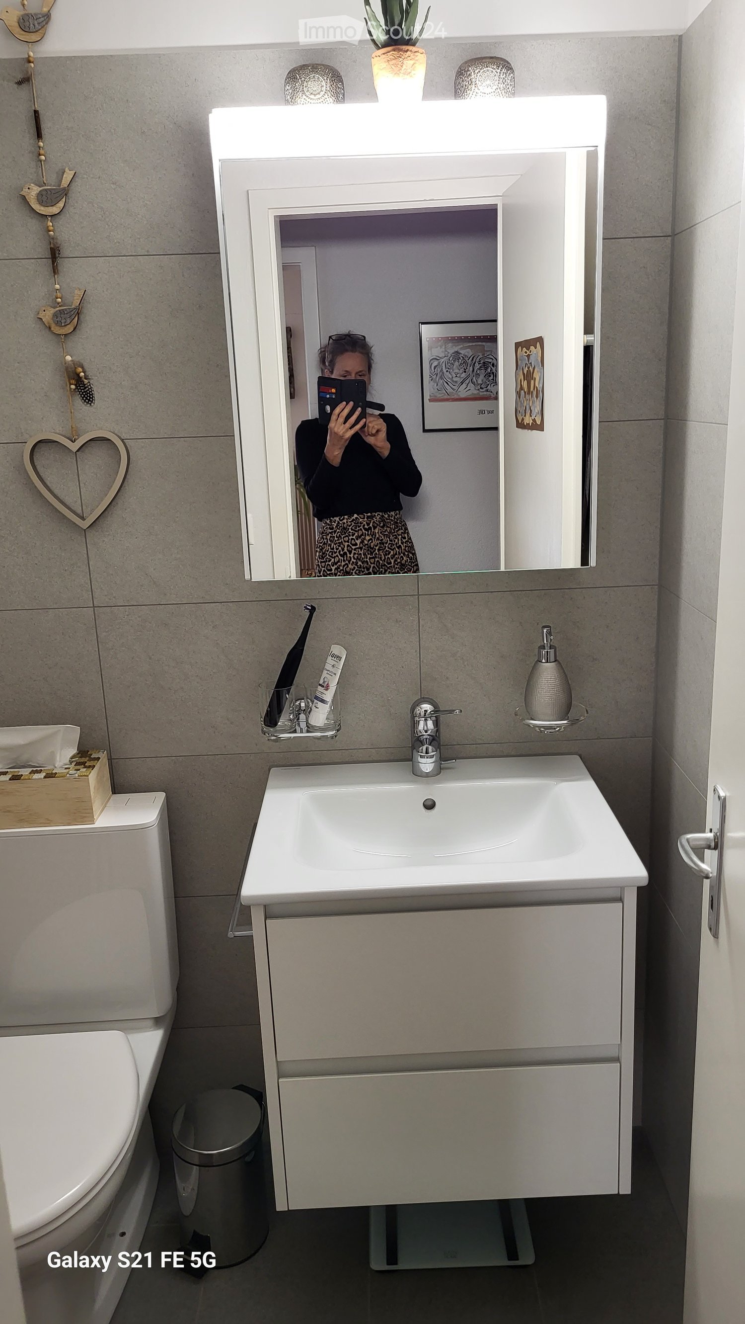 Modern bathroom with a white sink, mirror cabinet, toilet, and decorative items including a plant and a heart-shaped ornament.