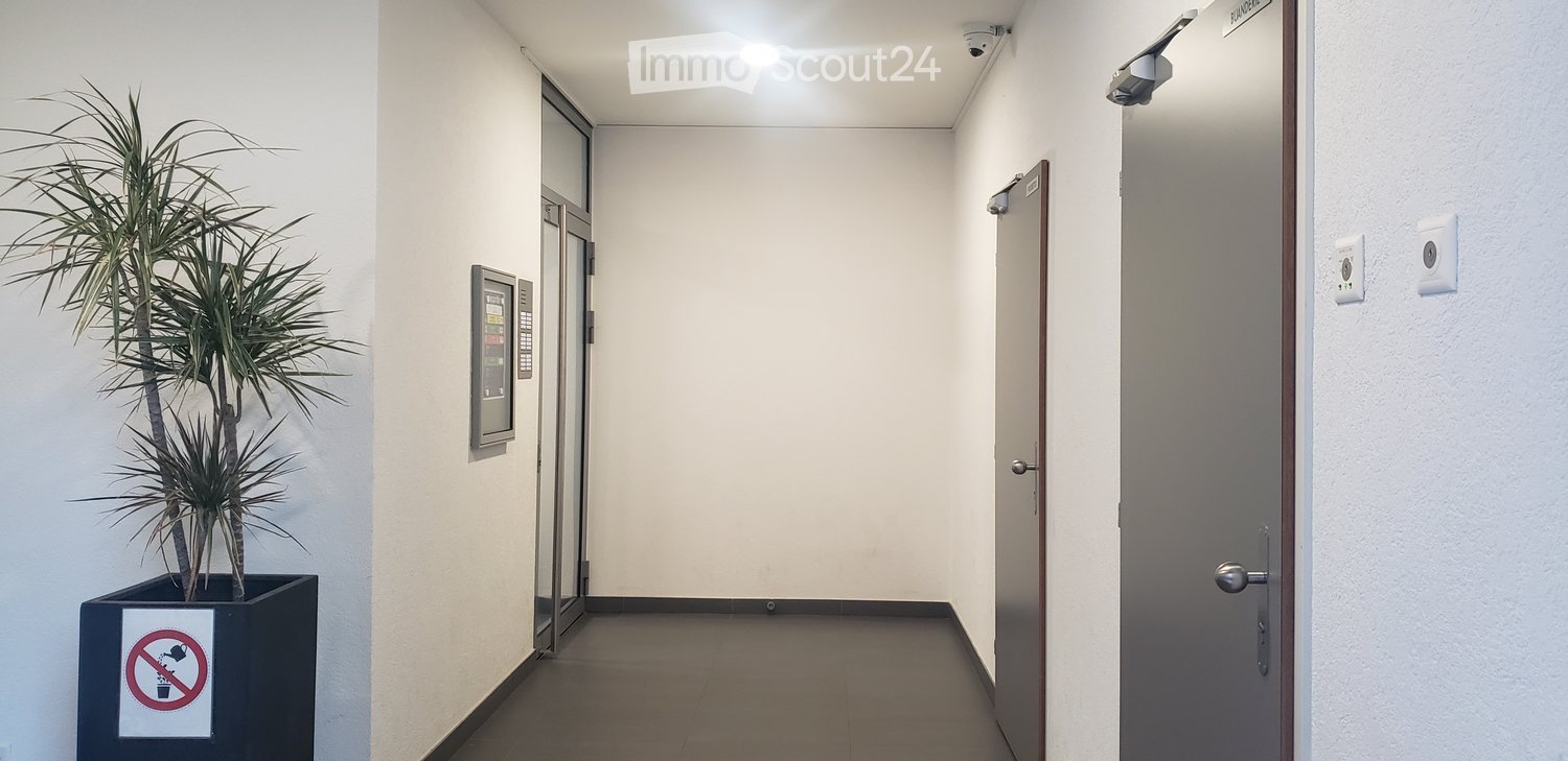 Modern hallway with white walls, grey floor, security camera, intercom system, and a potted plant on the left side.