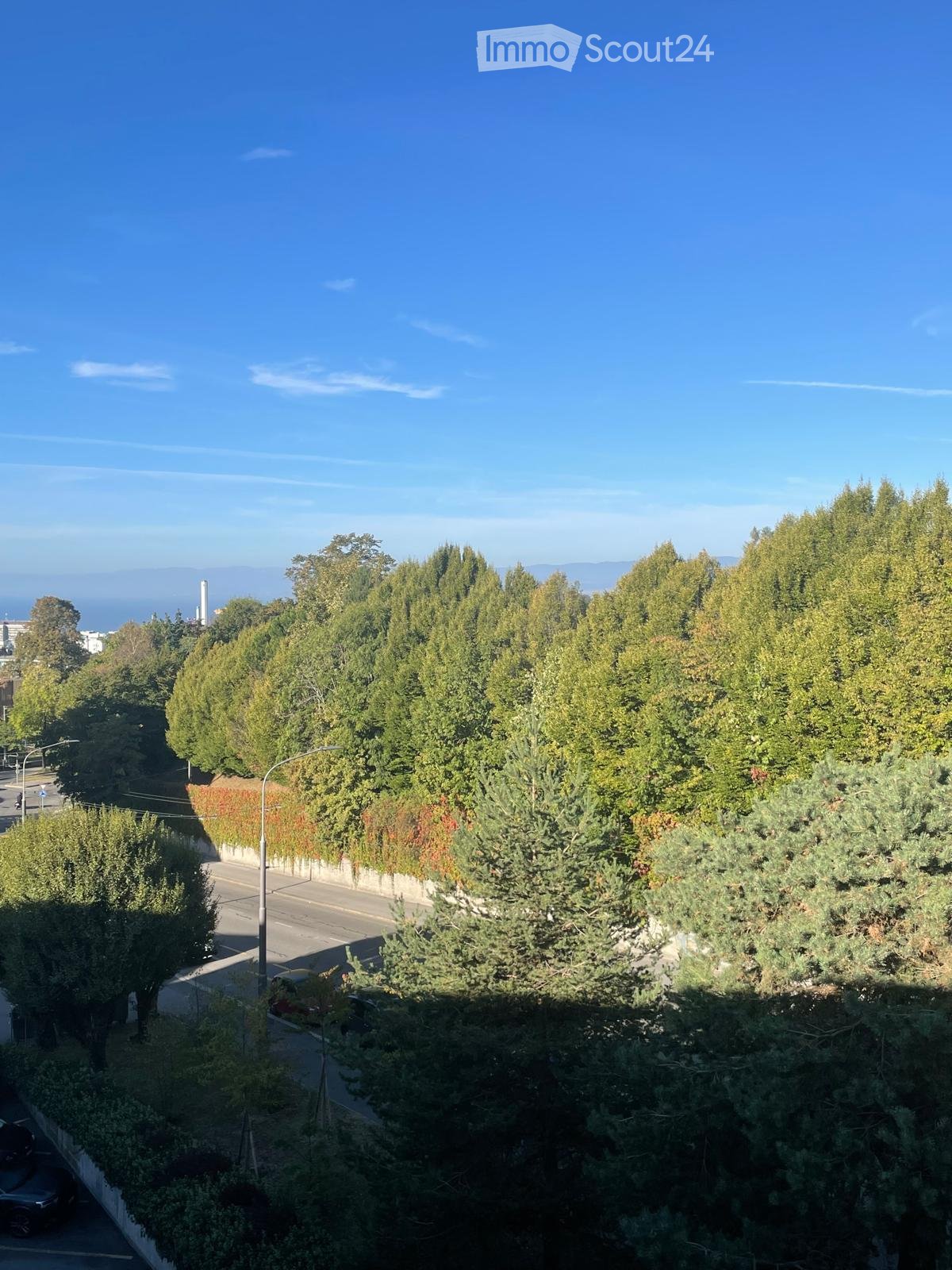 A lush, green garden area with tall trees and shrubs, overlooking a road and distant cityscape under a clear blue sky.