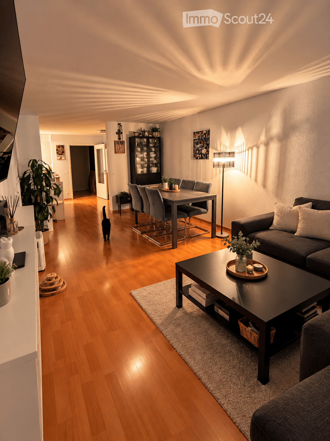 Modern living and dining area with hardwood floors, a grey sofa, coffee table, dining table with chairs, and a floor lamp. A cat is walking in the space.