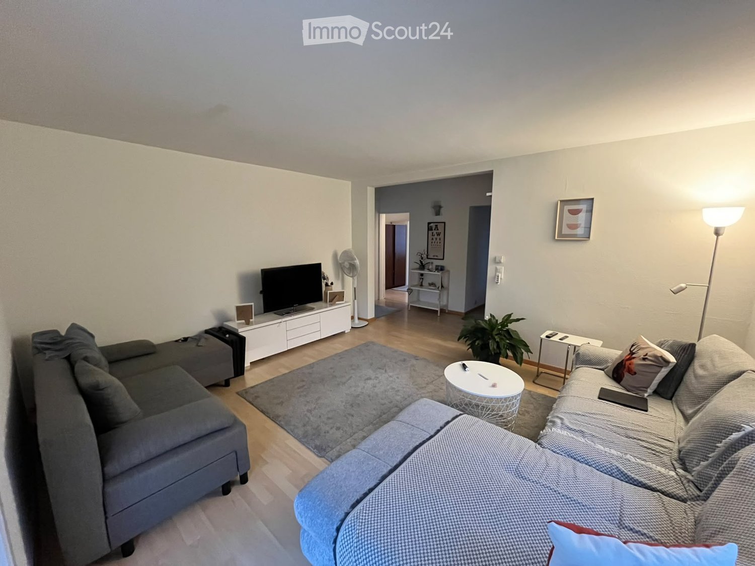 Modern living room with light wooden flooring, two sofas, a coffee table, a television, a fan, and a plant in the corner.