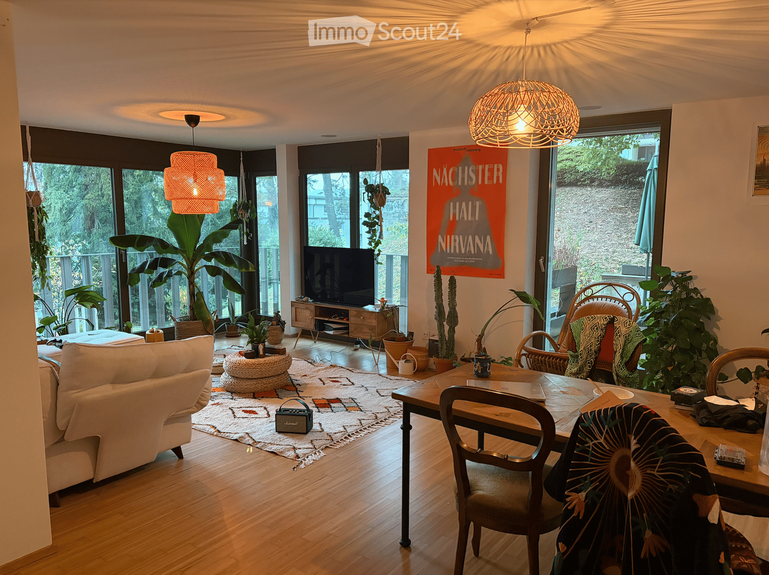 Bright living room with large windows, wooden flooring, a white sofa, a dining table with chairs, a television, pendant lights, a colorful rug, and several potted plants.