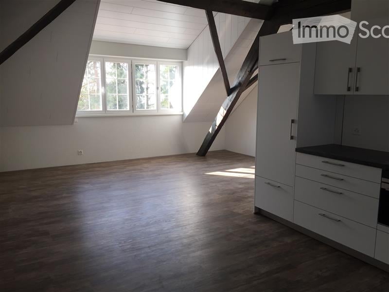 open room with wooden floor, white walls, two windows, open kitchen, kitchen counter, cabinets, drawers, and a small oven