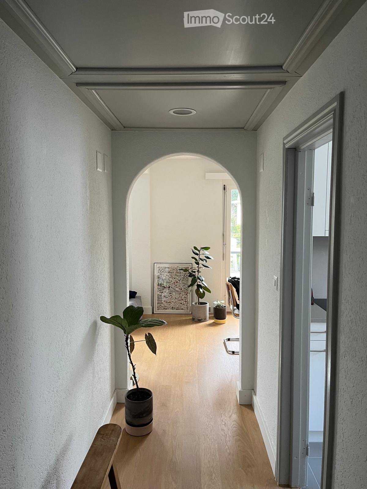 A modern hallway with light wooden flooring, white walls, and an arched opening leading to another room. Potted plants are placed along the hallway, and a bench is visible on the left side.