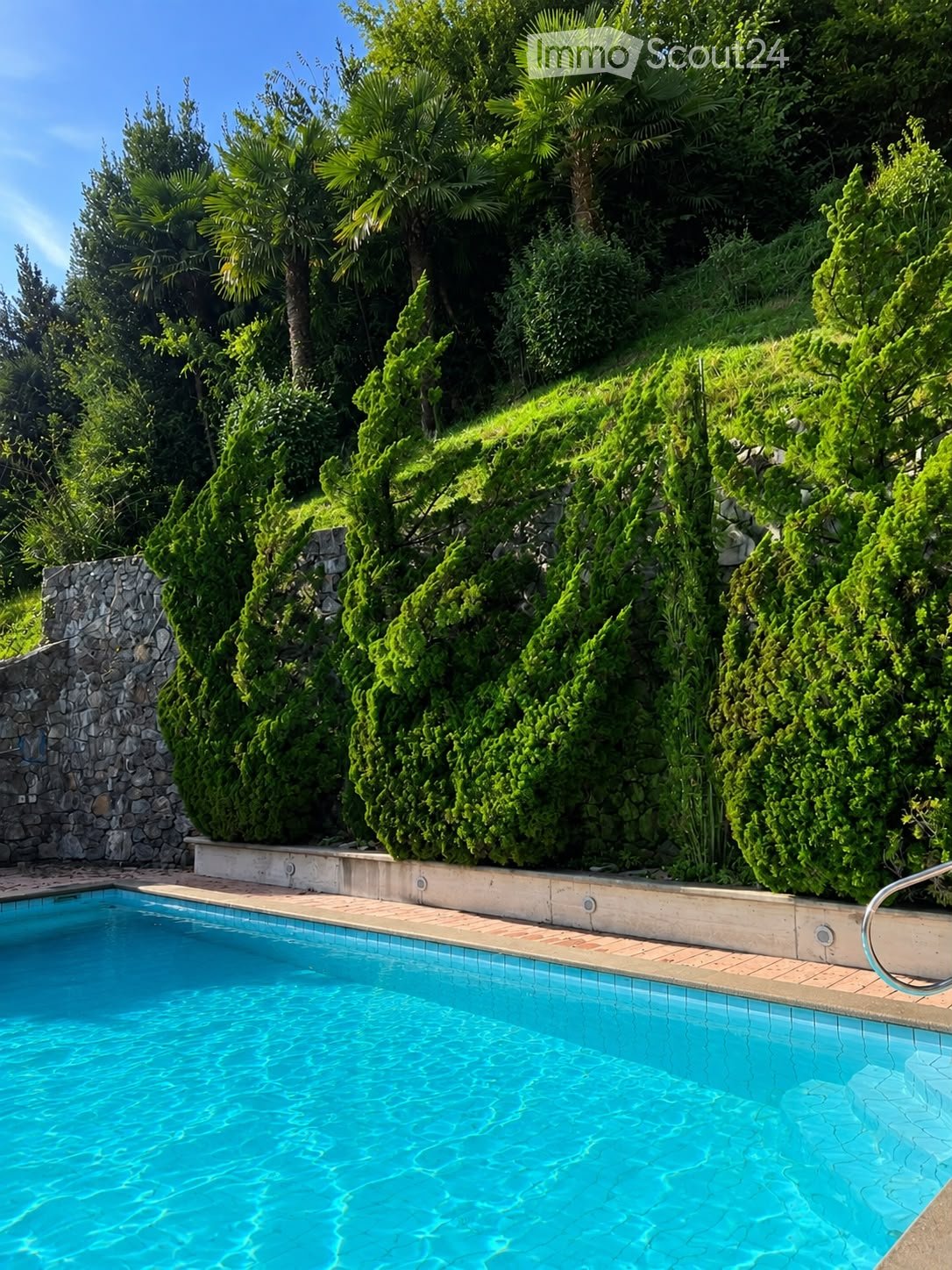 A swimming pool surrounded by lush green trees and shrubs, with a stone wall and tiled deck.