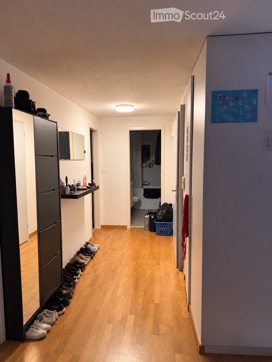 A narrow hallway with wooden flooring, white walls, and a ceiling light. Shoes are lined up against the left wall, and a small shelf holds various items. A doorway leads to a bathroom with visible fixtures.