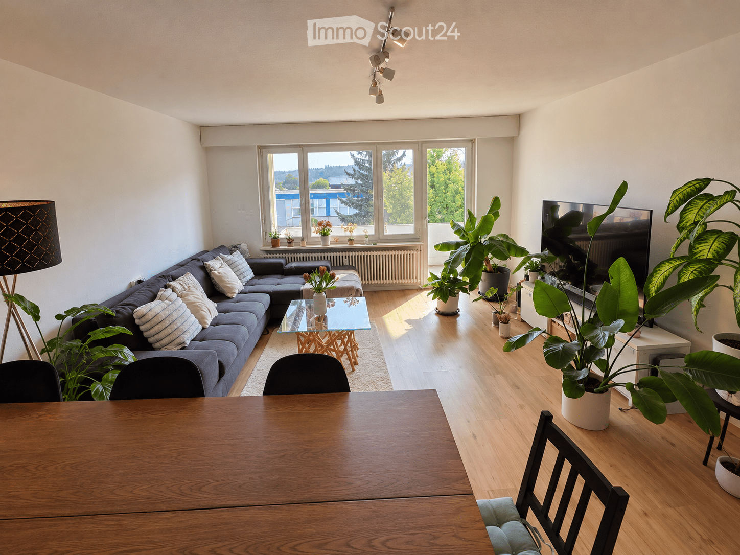 Bright living room with wooden flooring, large windows, a dark blue sectional sofa, a glass coffee table, a wooden dining table with chairs, and several potted plants. A television is mounted on the wall, and a floor lamp stands near the sofa.