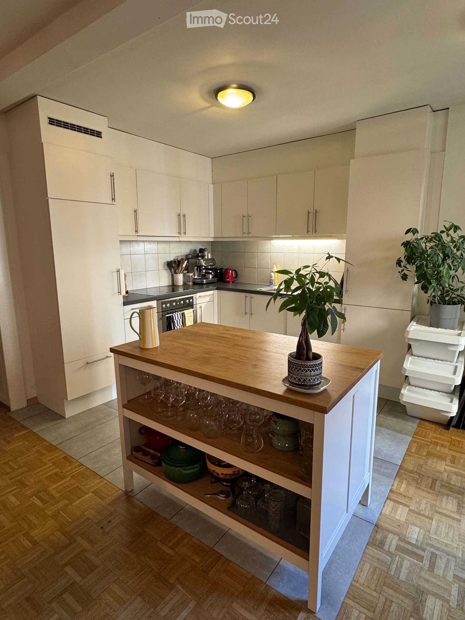 Modern kitchen with white cabinets, wooden countertop, built-in oven, coffee maker, and decorative plant on the counter.
