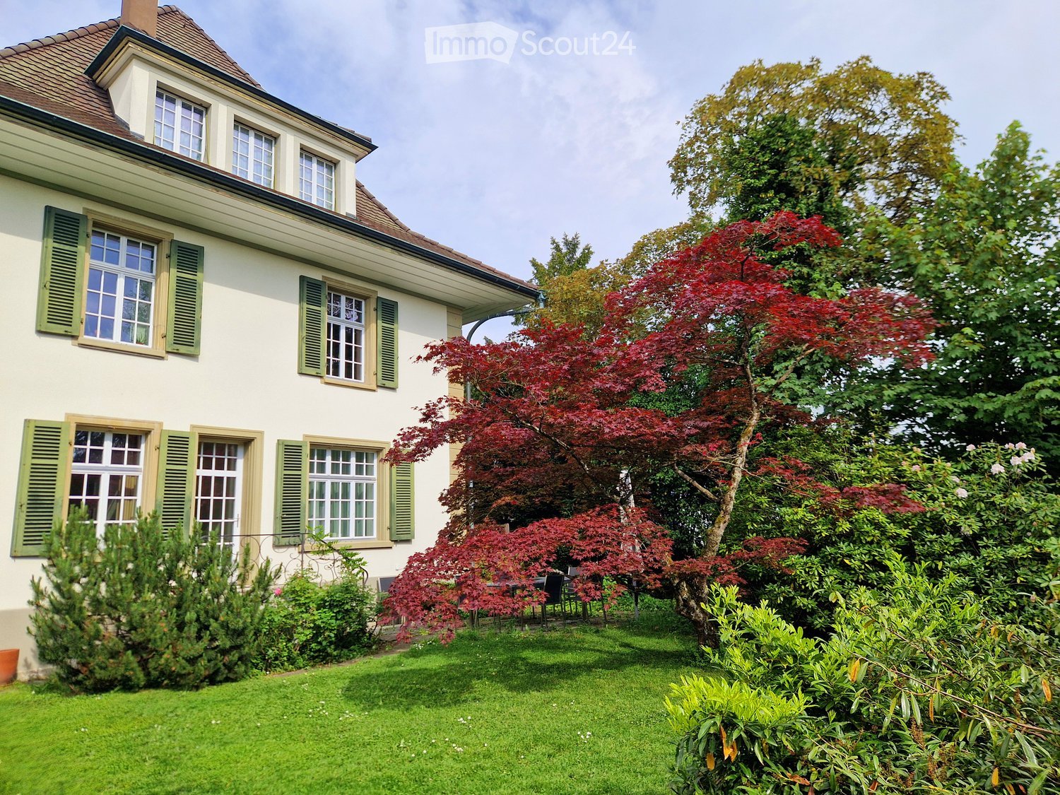 A well-maintained garden with a red maple tree, green shrubs, and a small seating area near the house. The house has light yellow walls, green shutters, and multiple windows.
