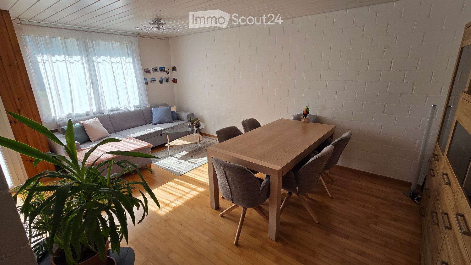 Living room with a grey sofa, coffee table, dining table, chairs, and a large plant. The room features exposed brick walls and large windows with white curtains.