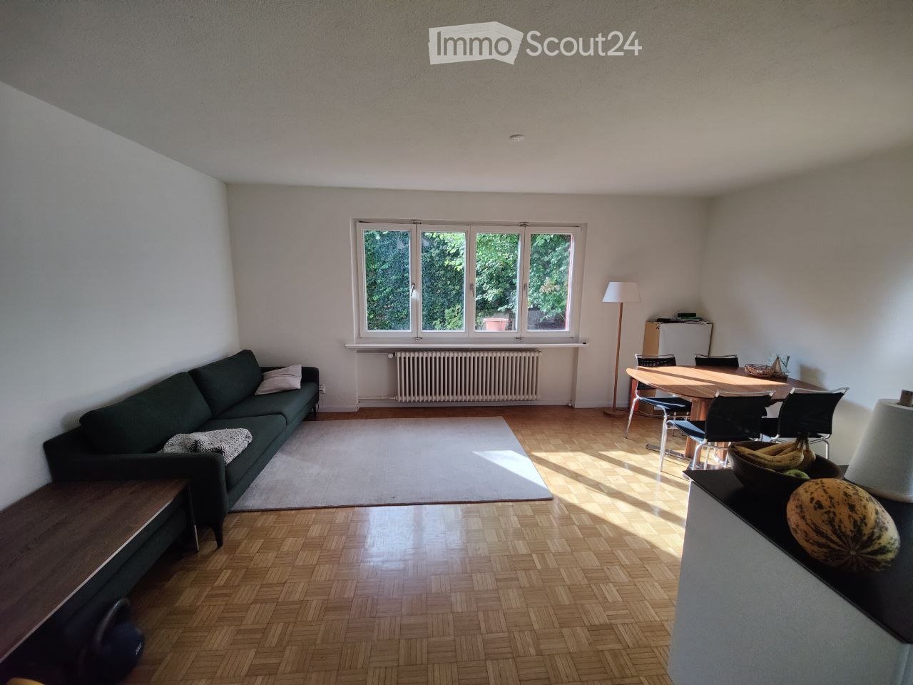 A well-lit living and dining area with wooden flooring, a dark green sofa, a dining table with chairs, and a floor lamp. The room features large windows with a view of greenery outside.
