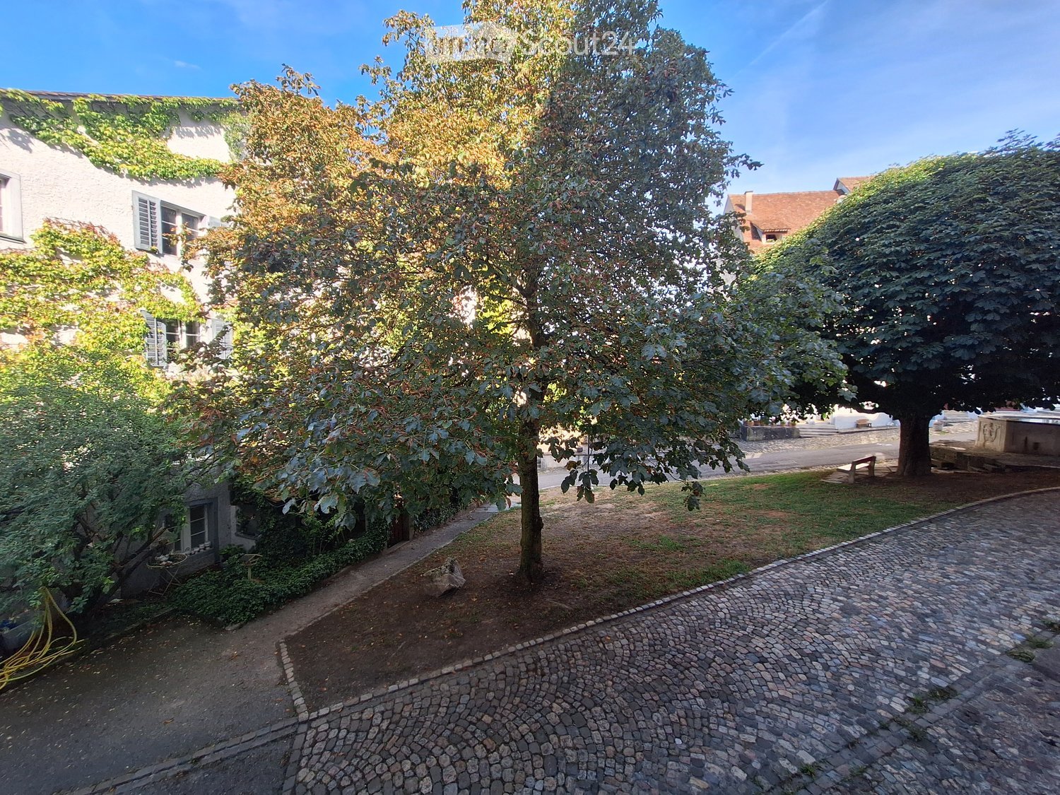 Garden area with a cobblestone pathway, trees, and a building with ivy-covered walls in the background.