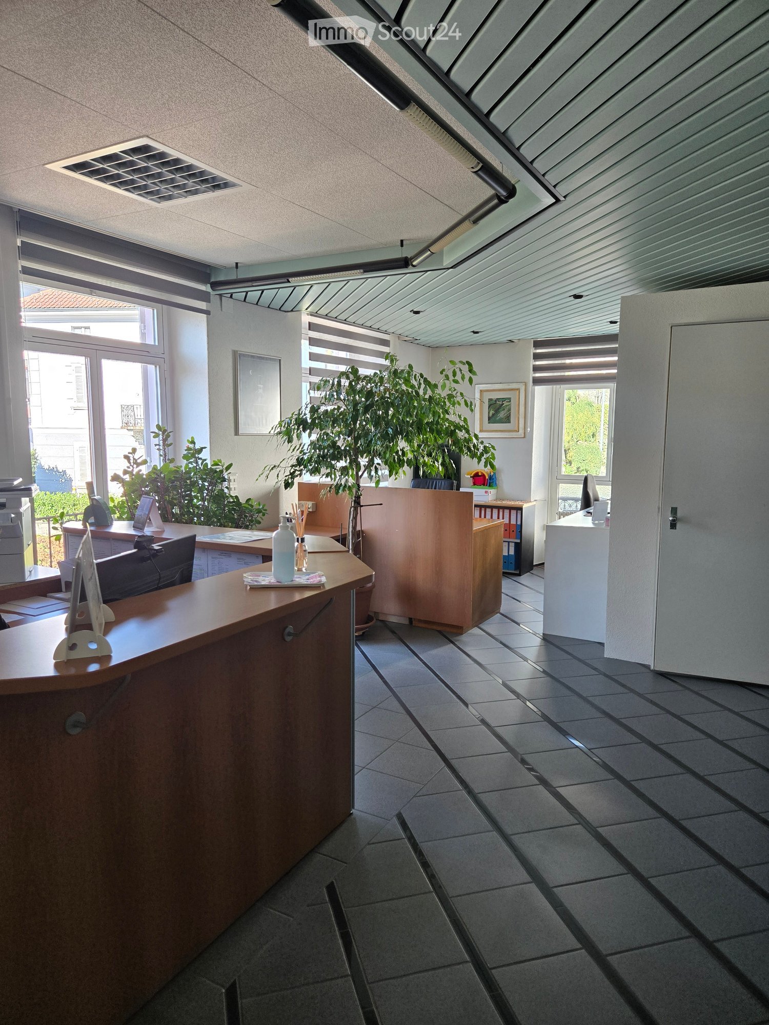 Office reception area with a wooden desk, chairs, a screen, printer, and potted plants.