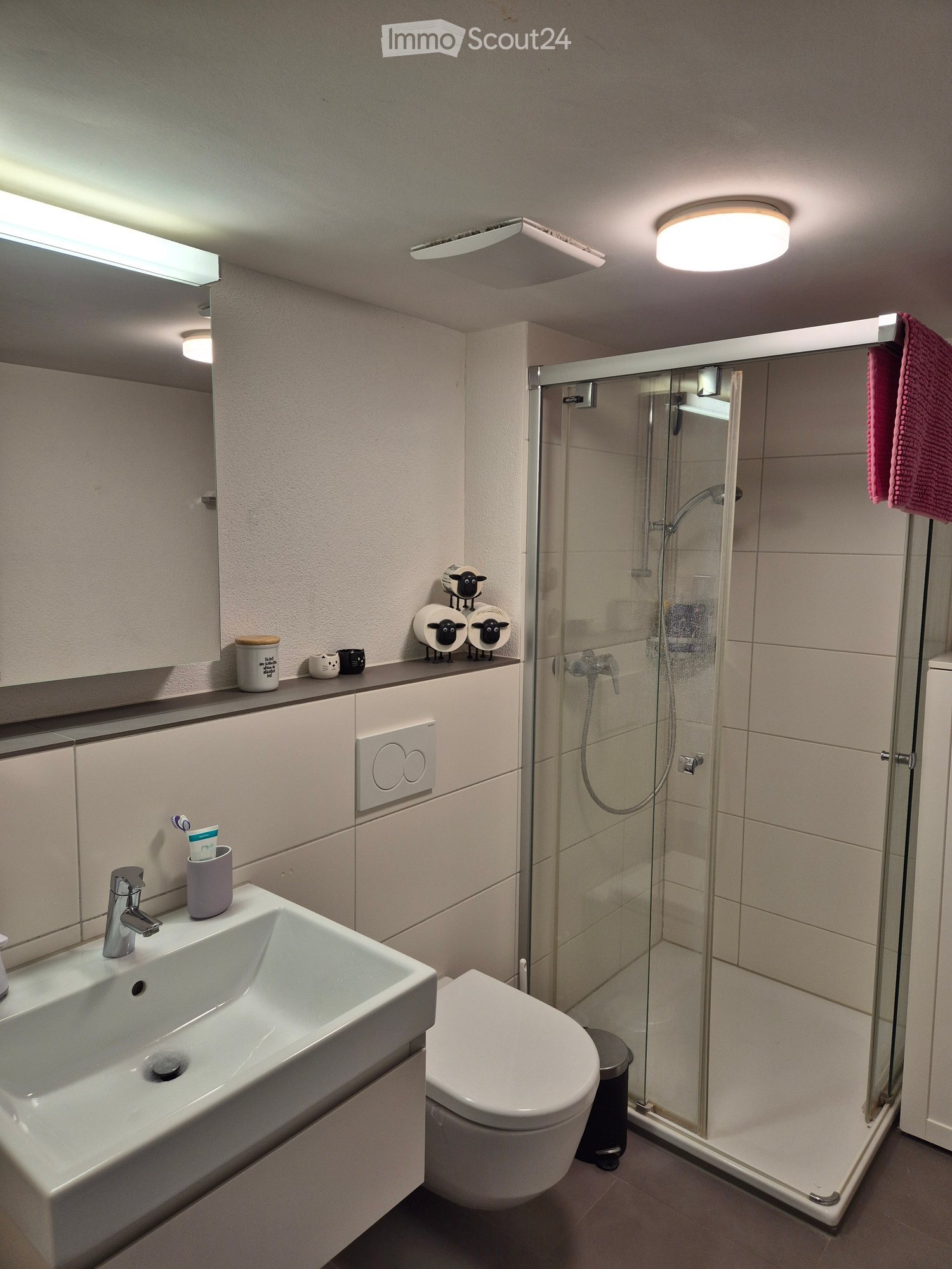 Modern bathroom with a white sink, toilet, glass-enclosed shower, and decorative items on the counter.