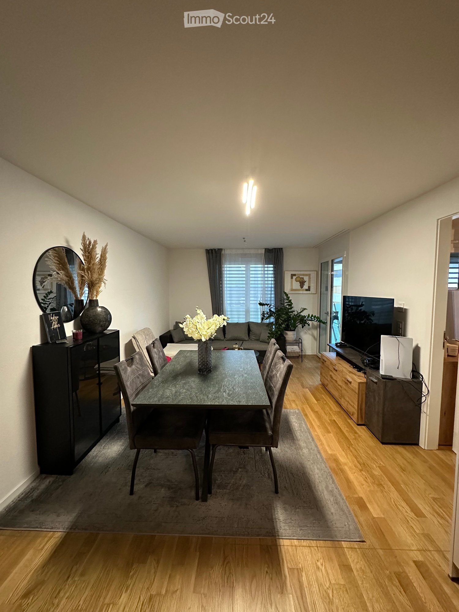 Modern dining area with a glass dining table, six chairs, a grey sofa, a television, a mirror, decorative vases, and plants.