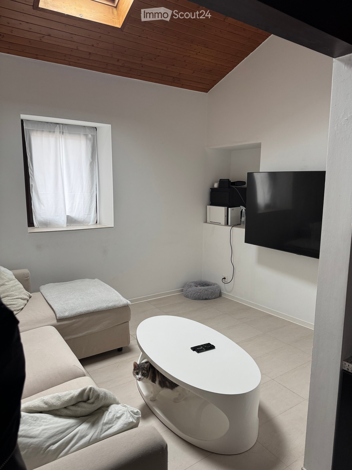 A modern, compact living space with a sofa, a round coffee table, a cat, a cat bed, and a television mounted on the wall.