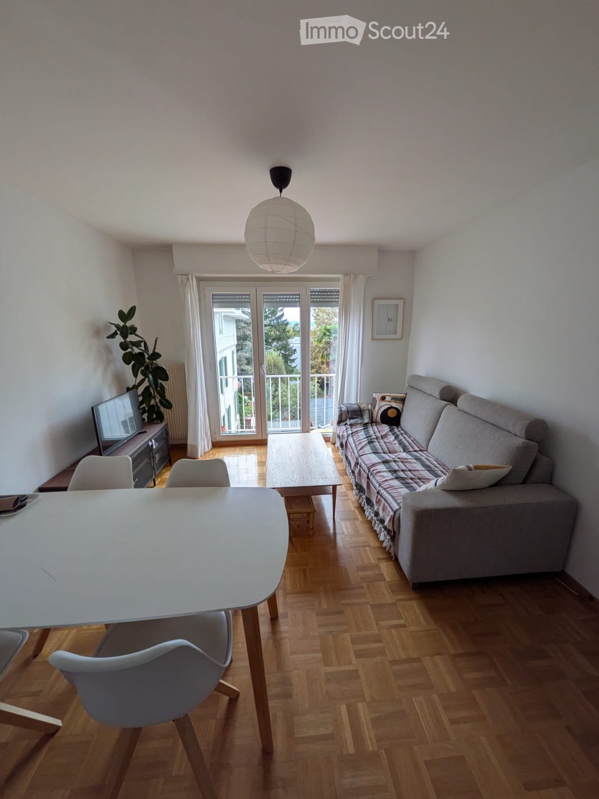 A modern living room with a grey sofa, a wooden coffee table, a dining table with chairs, a TV, and a hanging lamp.