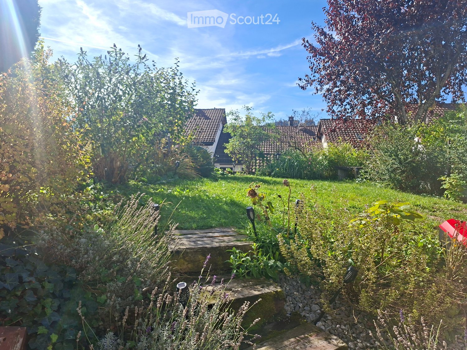 Well-maintained garden with a stone pathway, various plants, shrubs, and trees, with houses visible in the background under a clear blue sky.