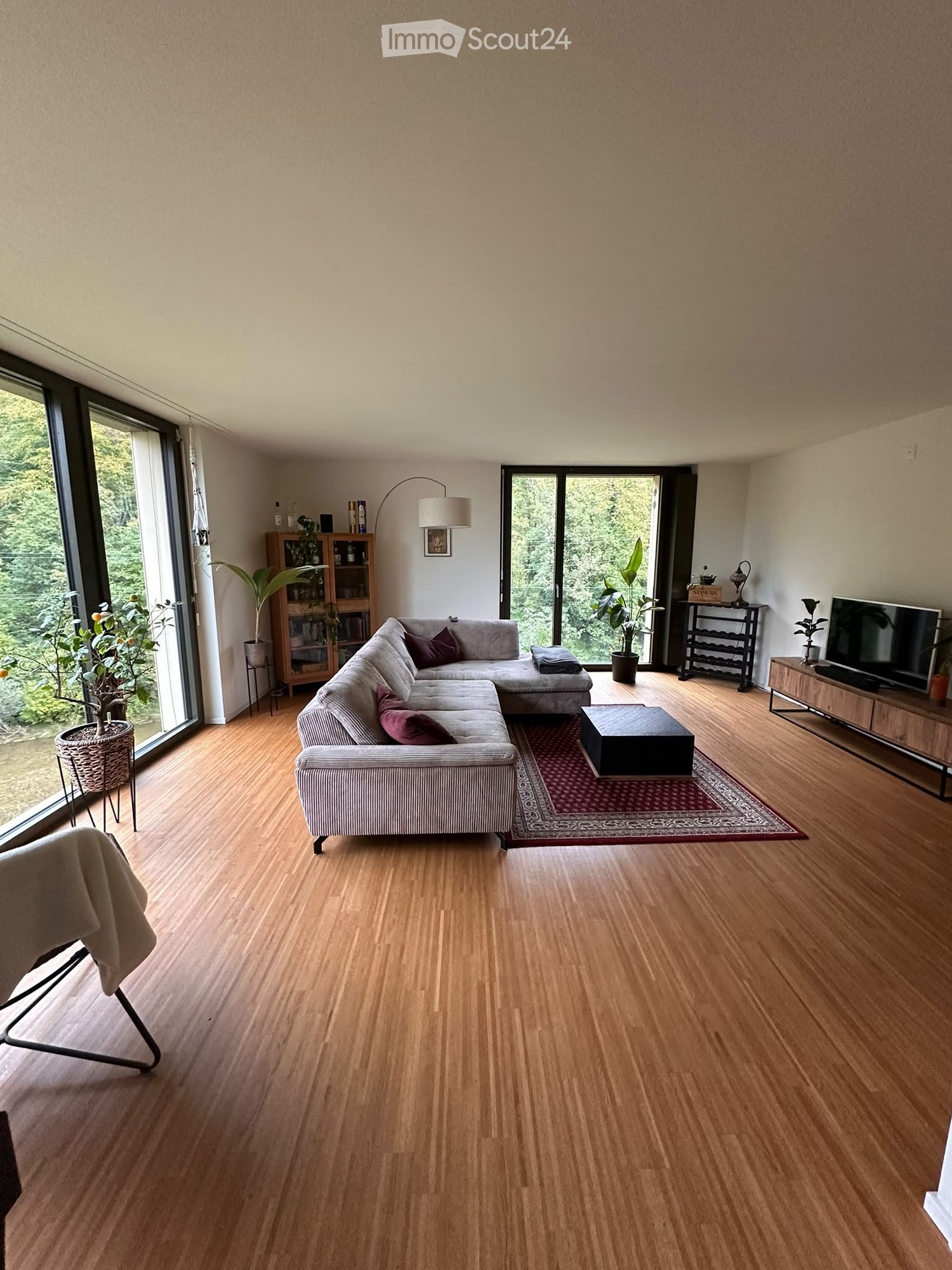 Modern living room with wooden flooring, large windows, grey sectional sofa, coffee table, TV, and decorative plants.