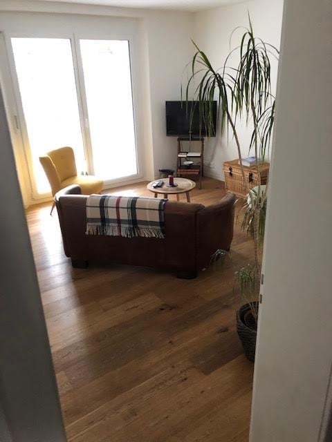 Bright living room with wooden flooring, large windows, a brown leather sofa with a plaid blanket, a yellow armchair, a coffee table, a TV on a stand, and a potted plant.