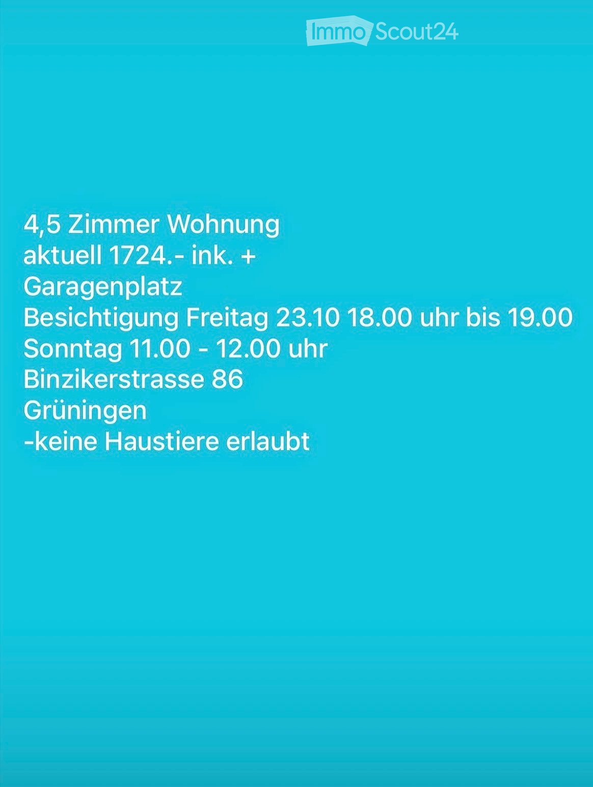 Advertisement for a 4.5-room apartment with a parking space, viewing times on Friday and Sunday, located at Binzikerstrasse 86, Grüningen, no pets allowed.