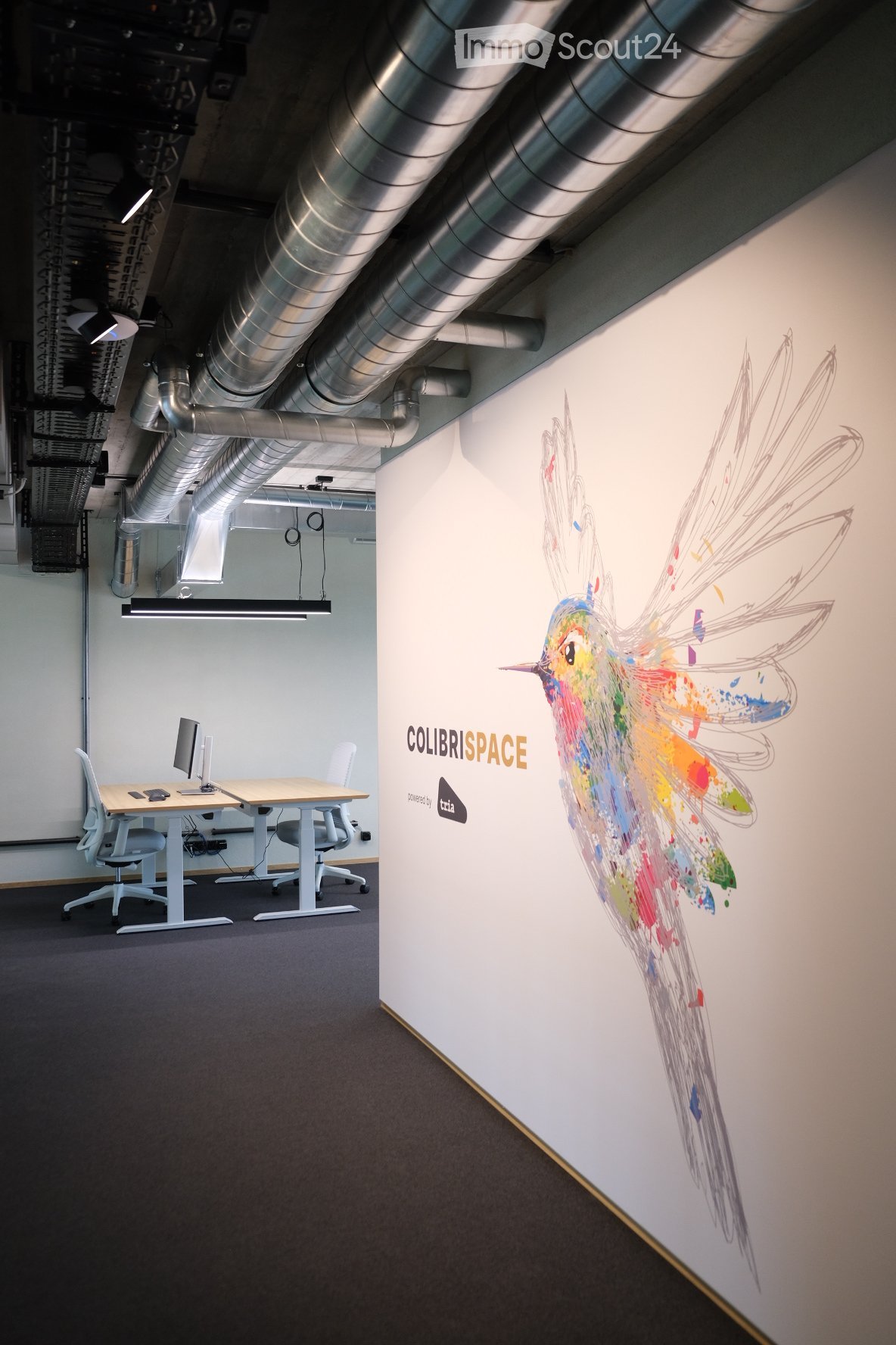 Modern office space with a desk, chairs, computer monitor, and a colorful bird mural on the wall.
