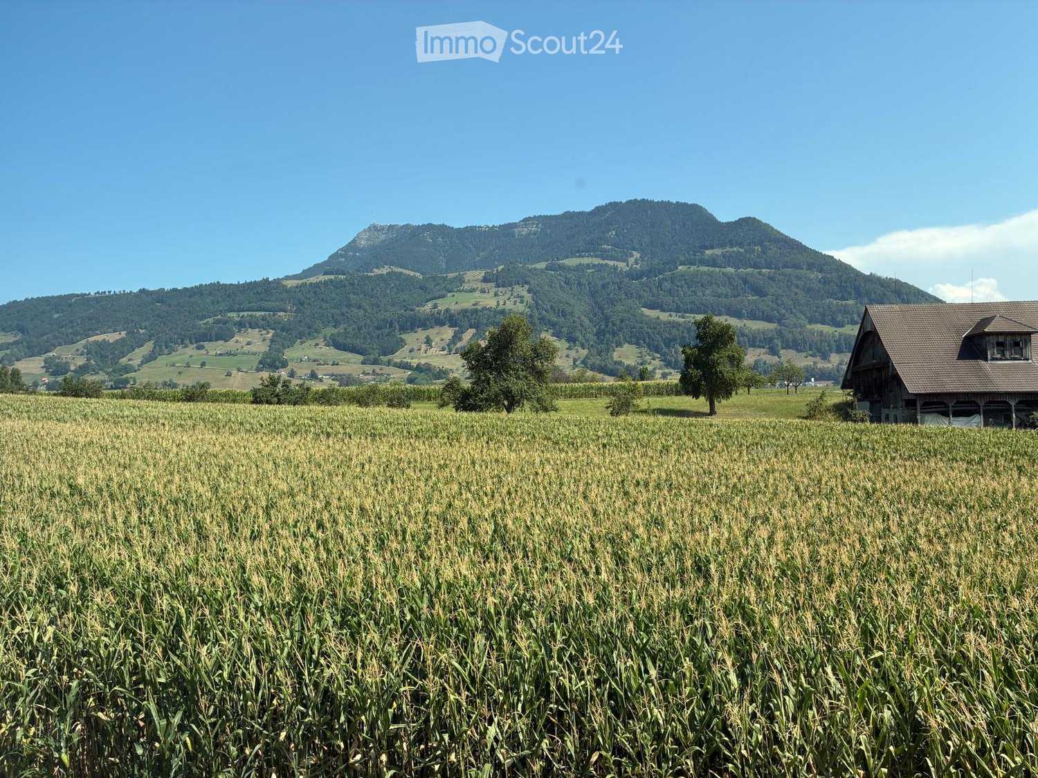 A rural landscape with a cornfield in the foreground, a wooden house on the right, and a mountain range in the background.